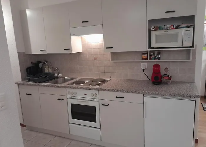 Apartment San's Vionnaz